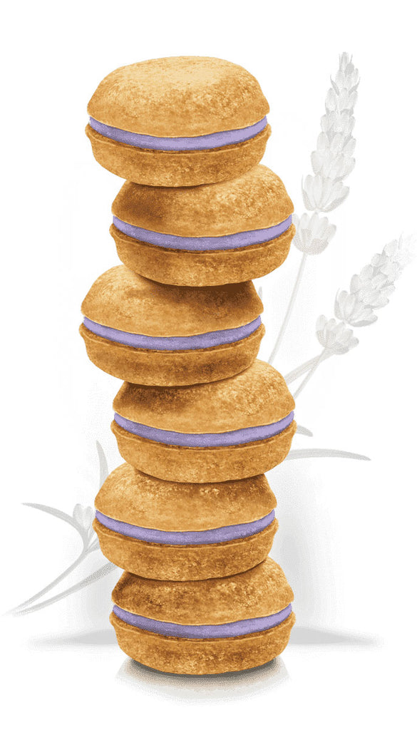 Lavender Macarons Dog Treat Box Set << FINAL SALE >> Eat BONNE ET FILOU   