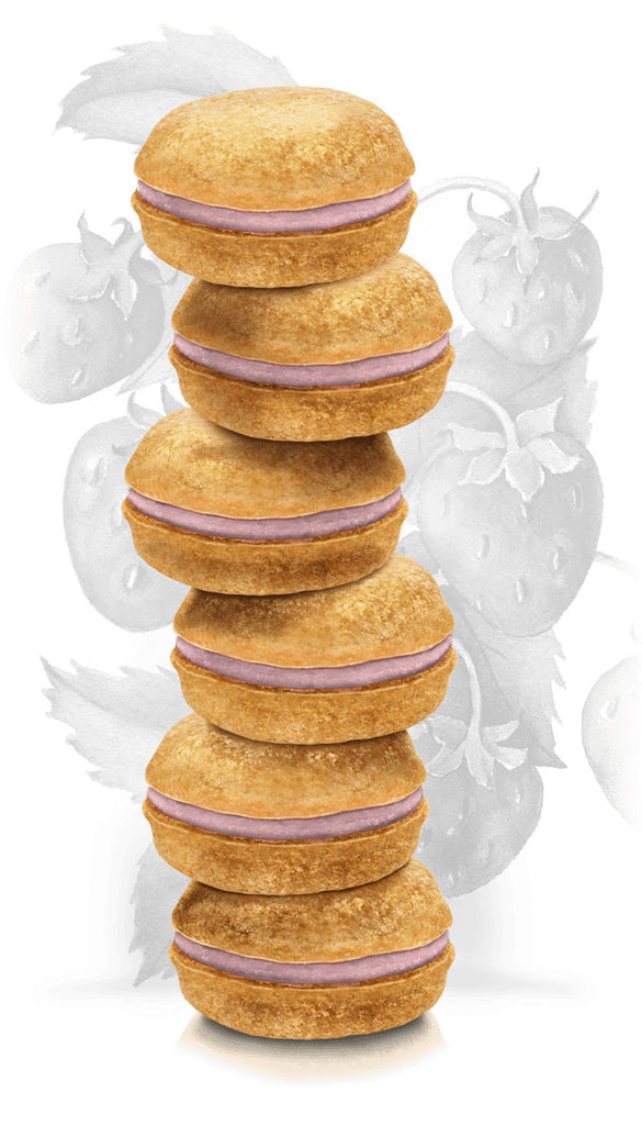 Strawberry Macarons Dog Treat Box Set << FINAL SALE >> Eat BONNE ET FILOU   