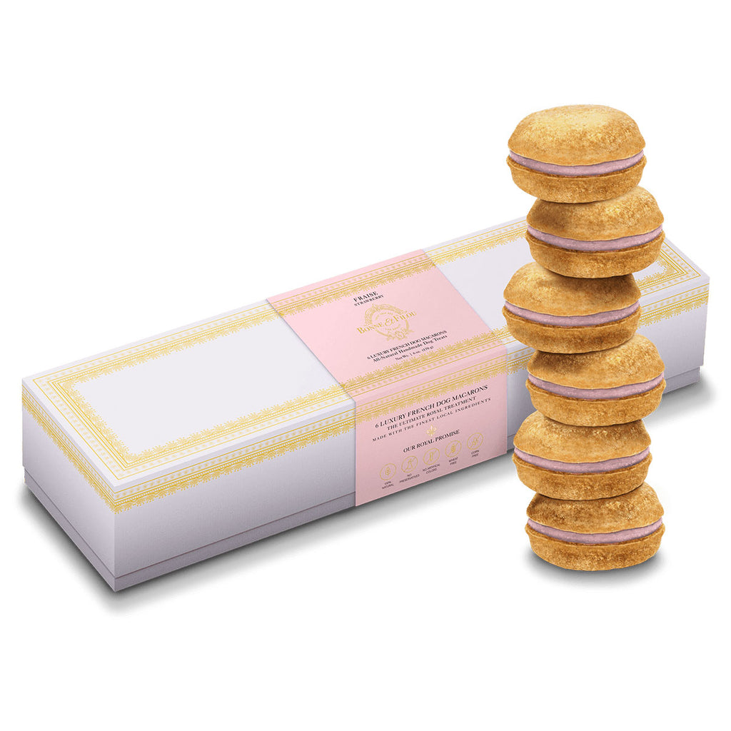 Strawberry Macarons Dog Treat Box Set << FINAL SALE >> Eat BONNE ET FILOU   