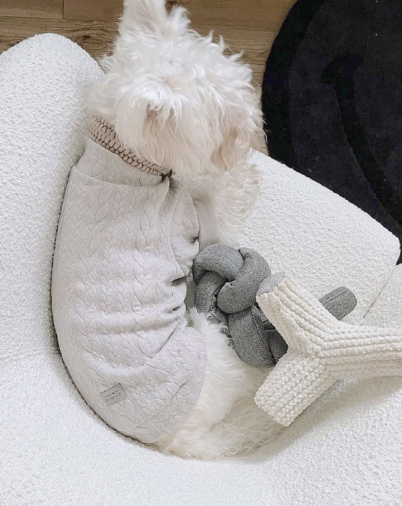 Nou Interactive Crinkle Dog Toy in Charcoal Grey Play LAMBWOLF COLLECTIVE   