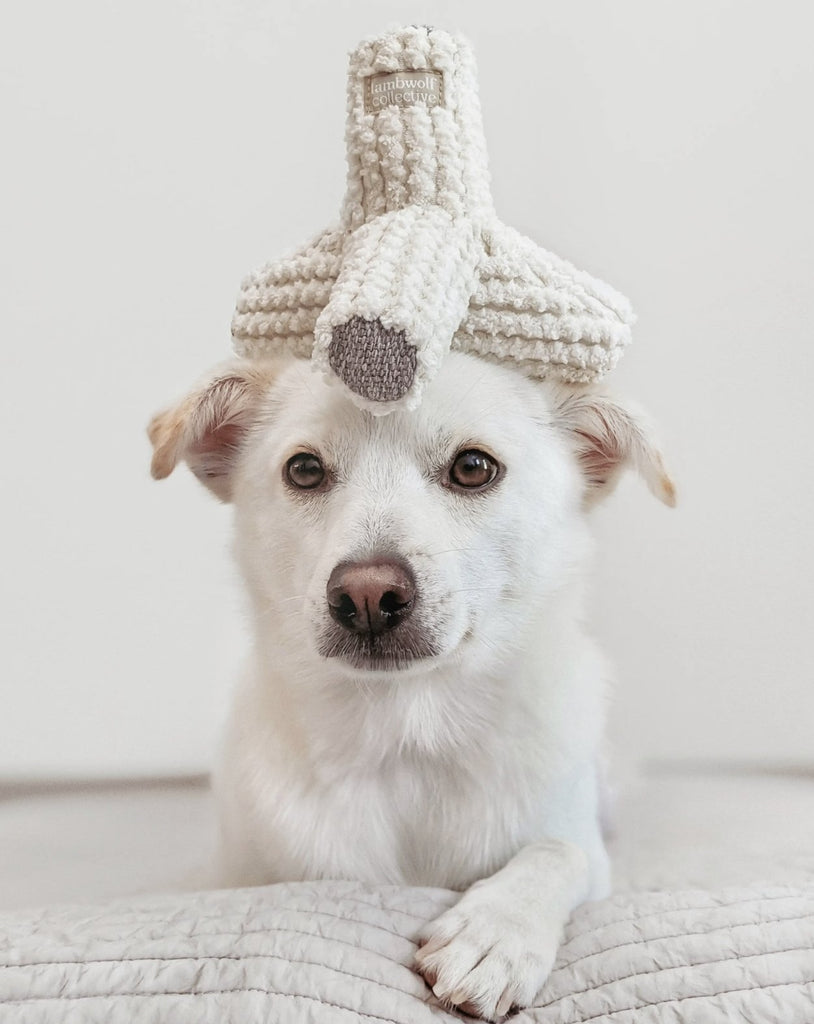 Breuer Crinkle & Squeak Dog Toy in Cream (FINAL SALE) Play LAMBWOLF COLLECTIVE   