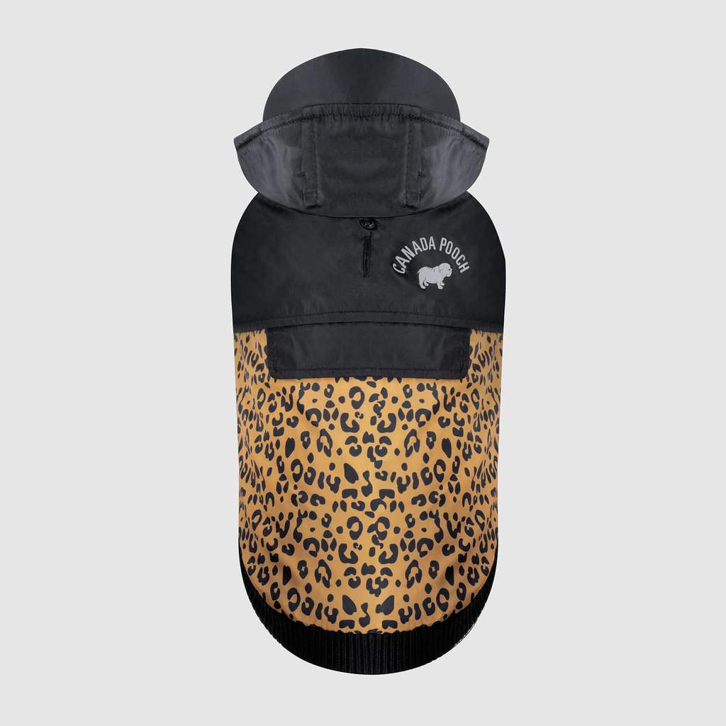 360 Jacket in Leopard (FINAL SALE) Wear CANADA POOCH   