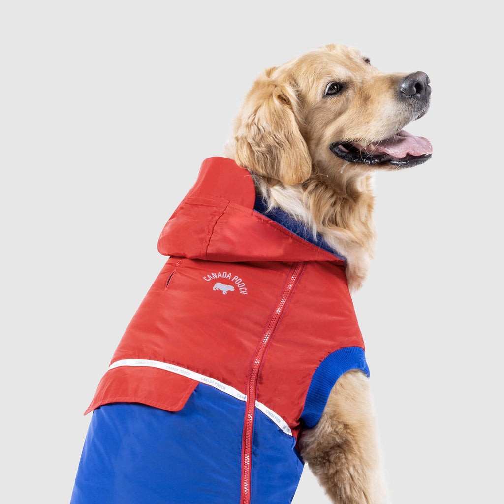 360 Jacket in Red and Blue (FINAL SALE) Wear CANADA POOCH   