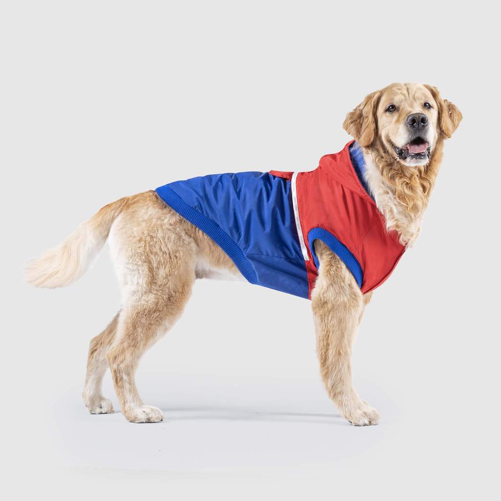 360 Jacket in Red and Blue (FINAL SALE) Wear CANADA POOCH   