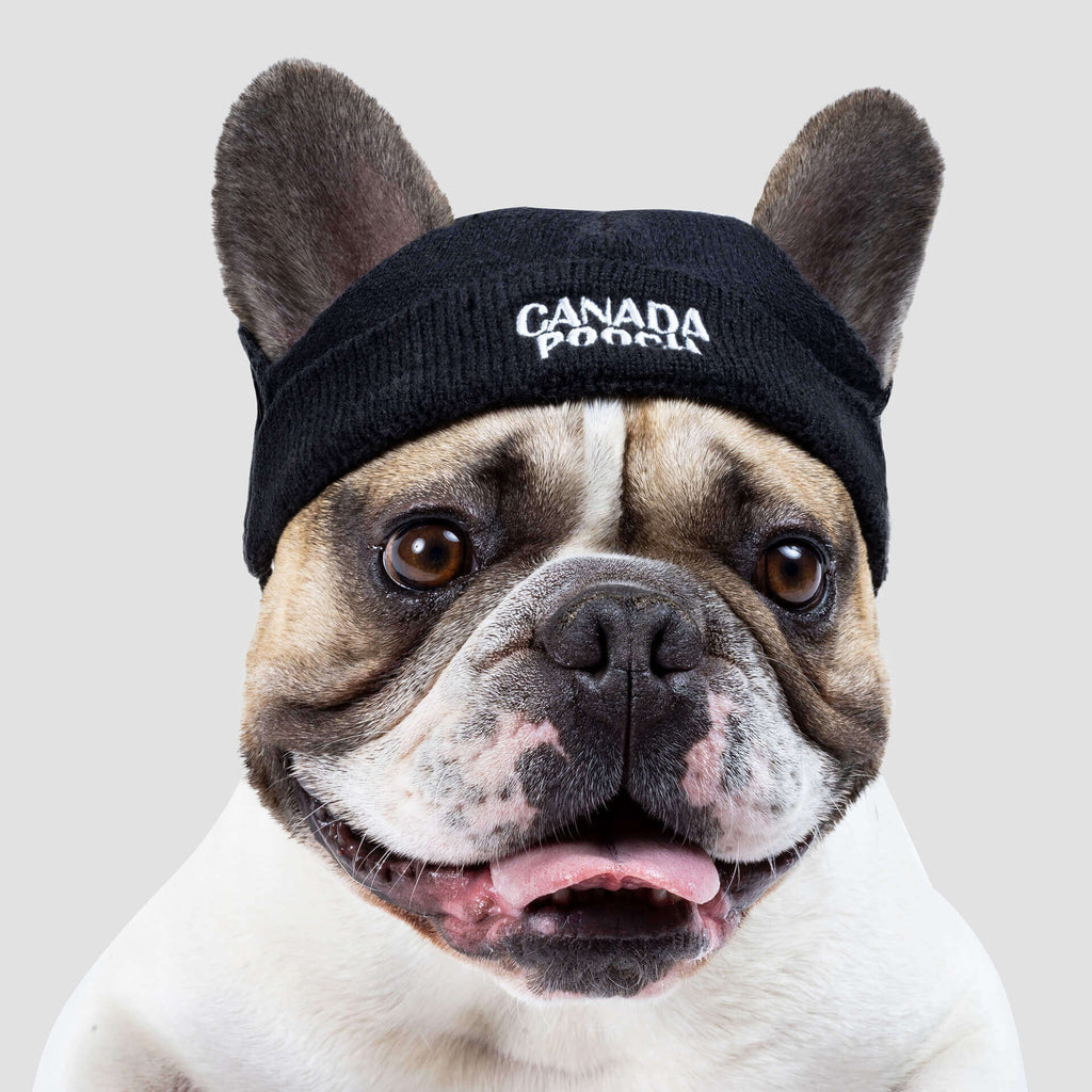 Basic Beanie in Black (FINAL TS SALE) Accessories CANADA POOCH   