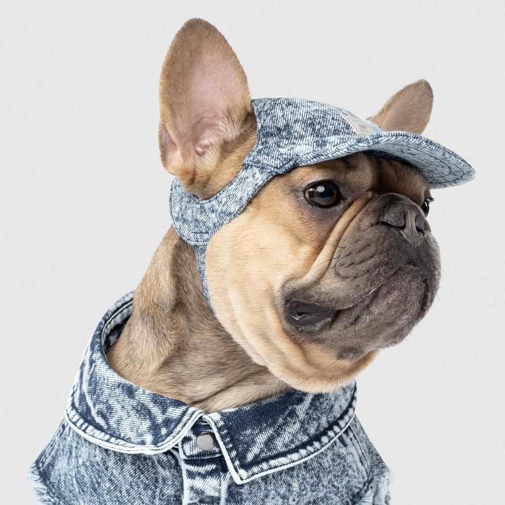 CANADA POOCH | Comeback Denim Cap Accessories CANADA POOCH   