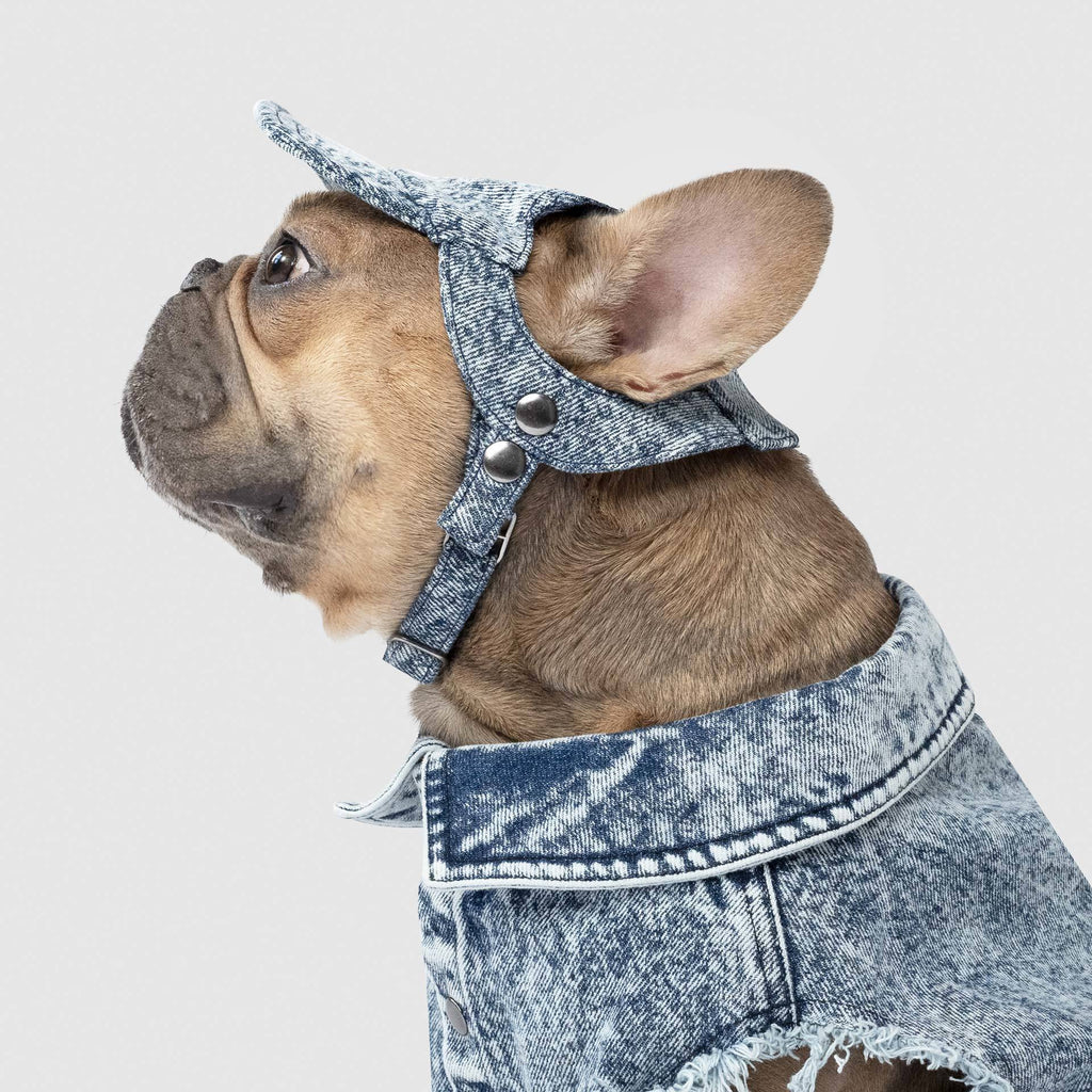 CANADA POOCH | Comeback Denim Cap Accessories CANADA POOCH   