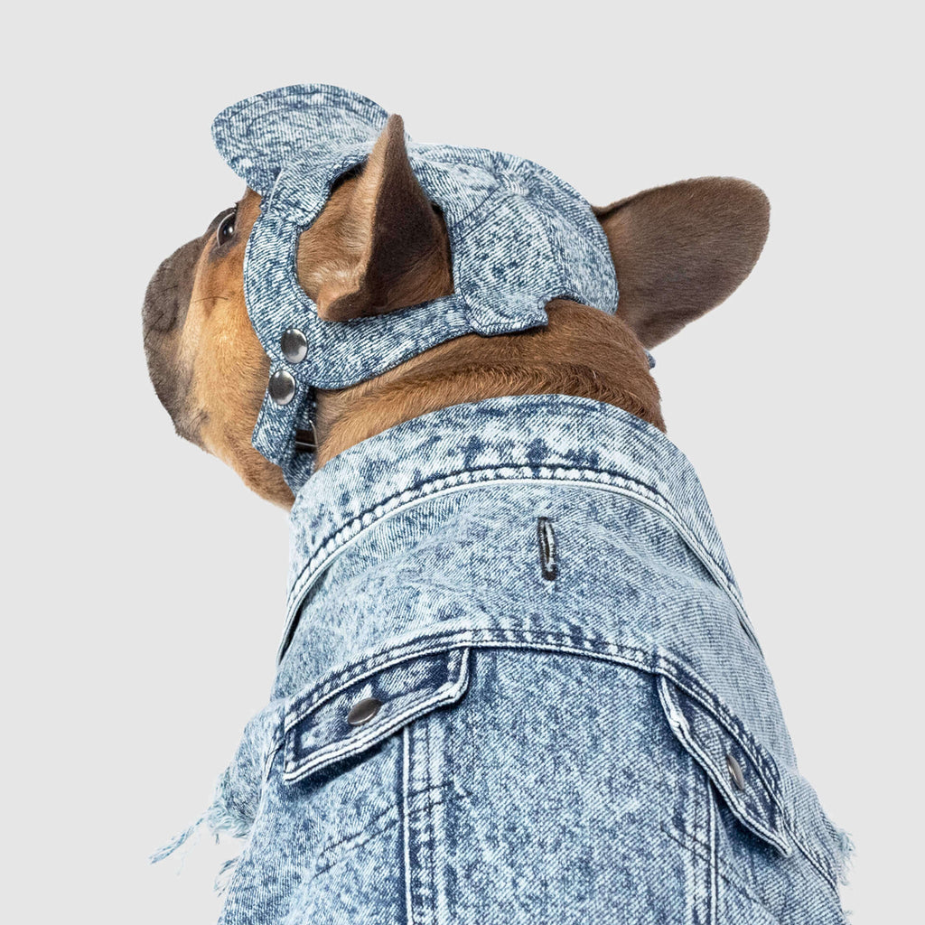 CANADA POOCH | Comeback Denim Cap Accessories CANADA POOCH   