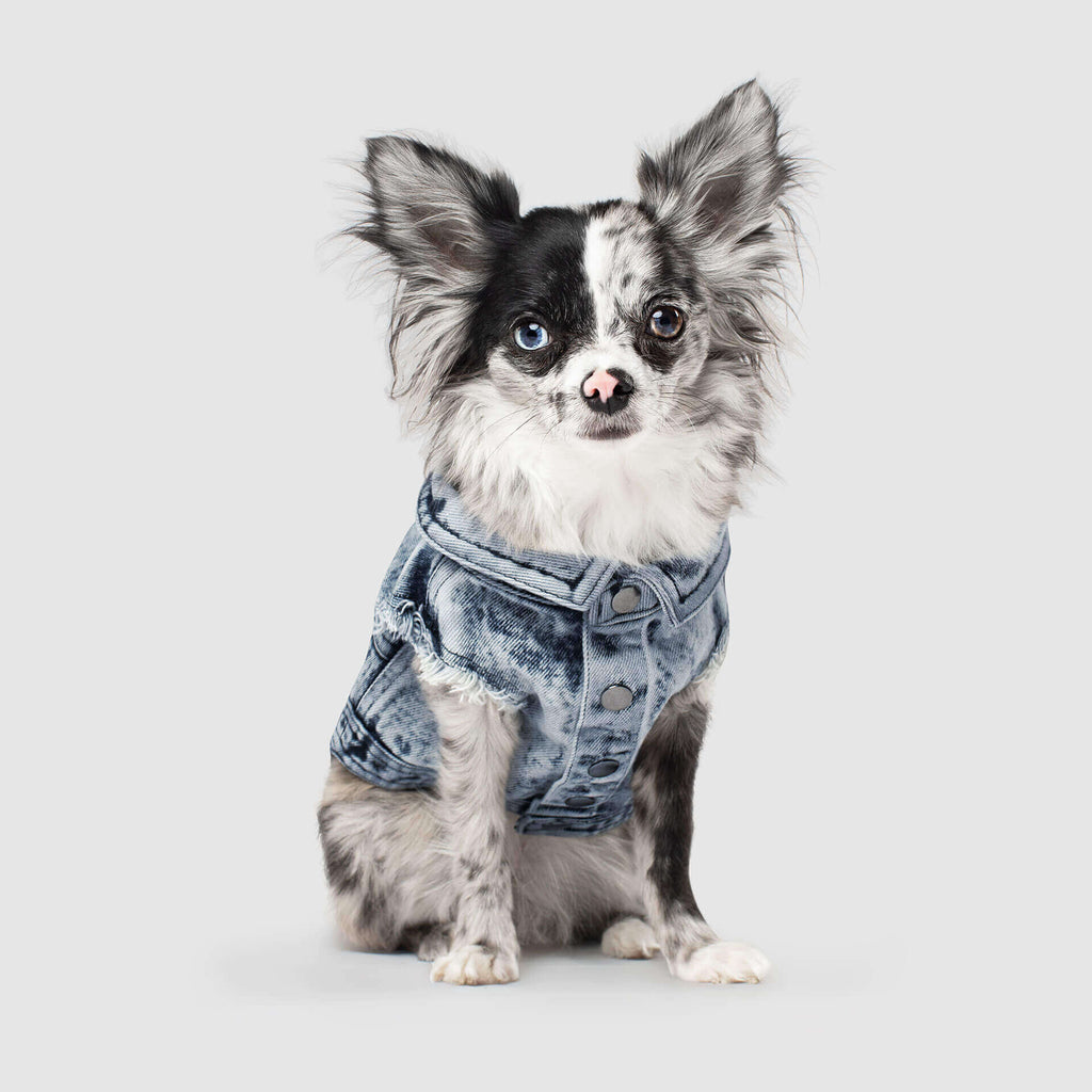 CANADA POOCH | Downtown Denim Vest Apparel CANADA POOCH   