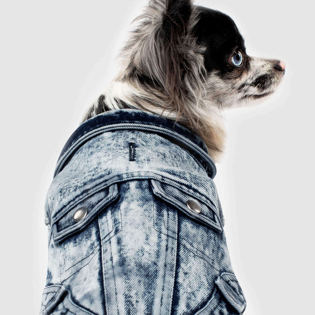 CANADA POOCH | Downtown Denim Vest Apparel CANADA POOCH   