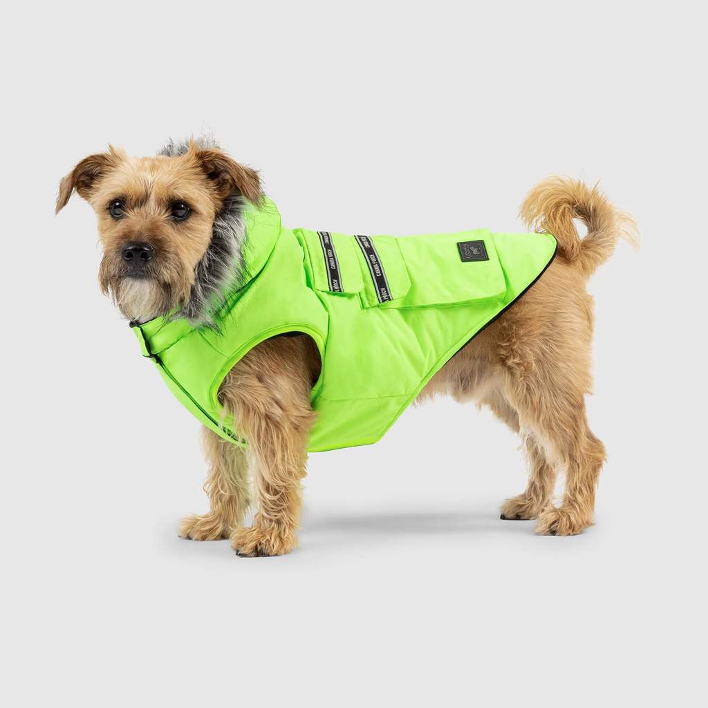 Everest Explorer Vest in Neon Green (FINAL SALE) Wear CANADA POOCH   
