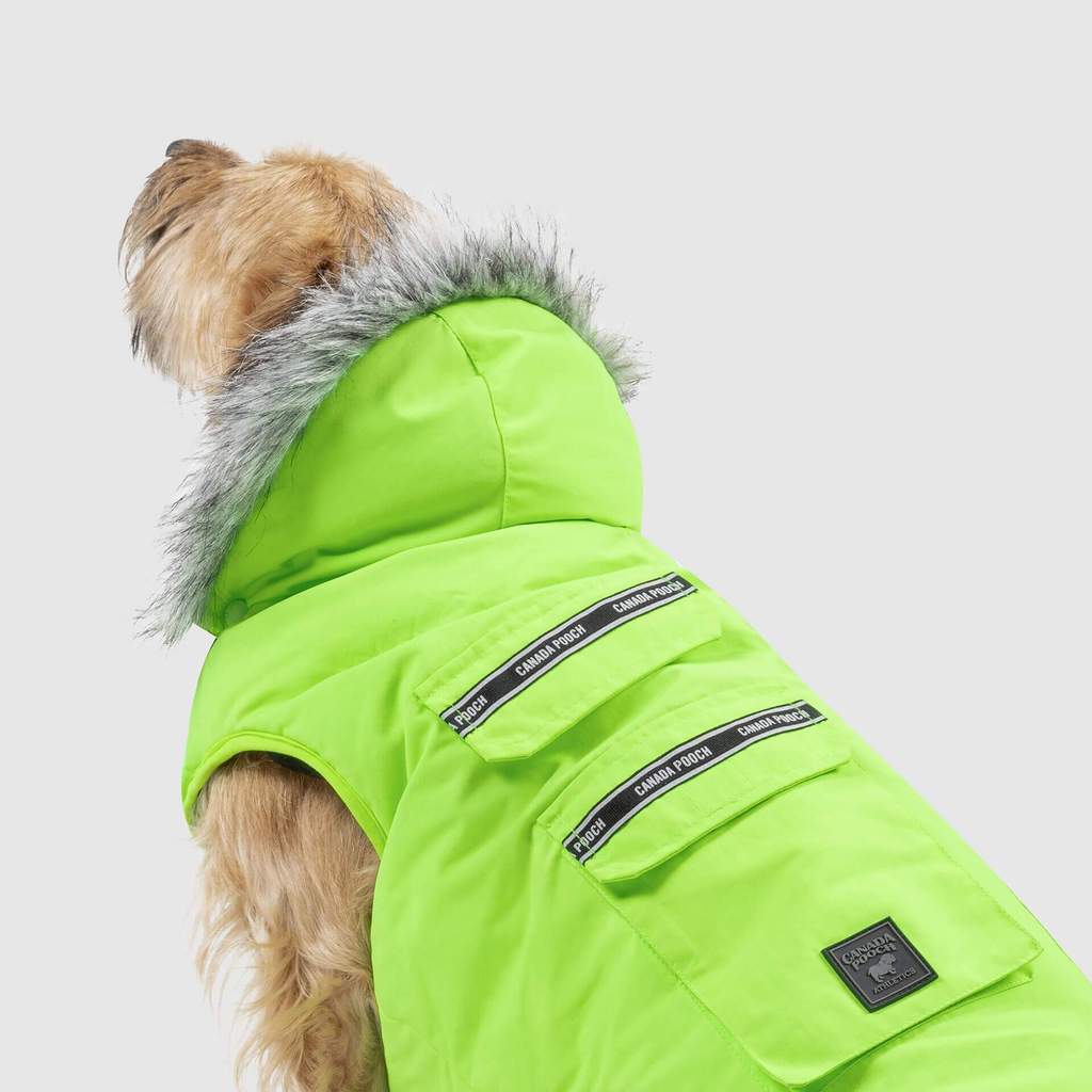 Everest Explorer Vest in Neon Green (FINAL SALE) Wear CANADA POOCH   