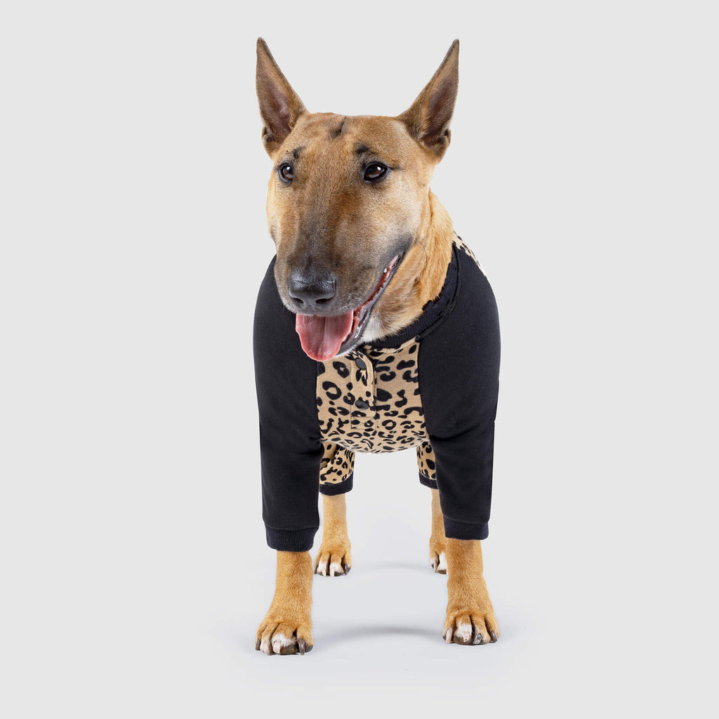 CANADA POOCH | Frosty Fleece Sweatsuit in Leopard Apparel CANADA POOCH   