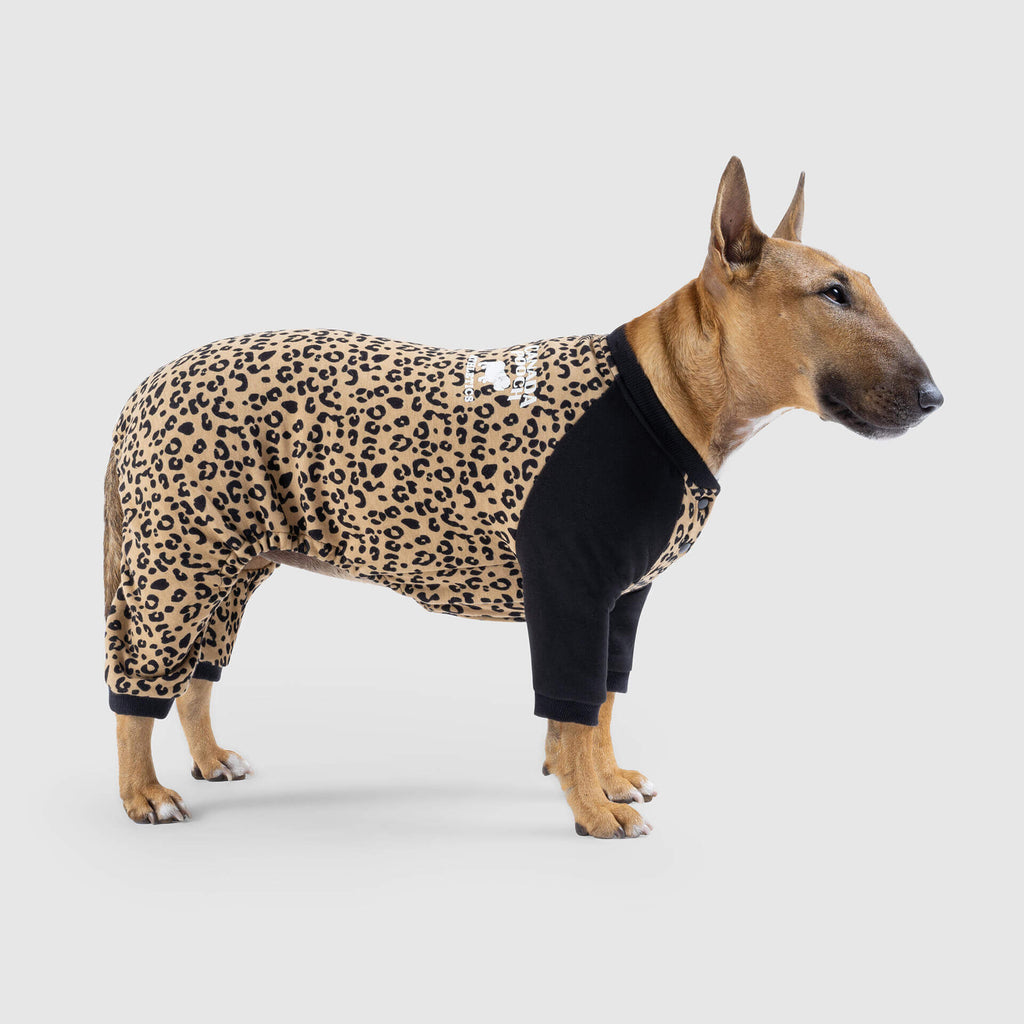 CANADA POOCH | Frosty Fleece Sweatsuit in Leopard Apparel CANADA POOCH   