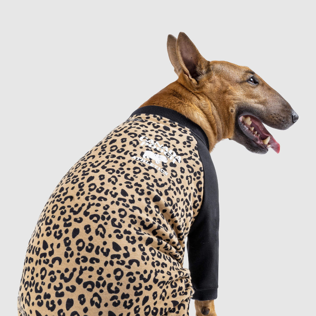 CANADA POOCH | Frosty Fleece Sweatsuit in Leopard Apparel CANADA POOCH   