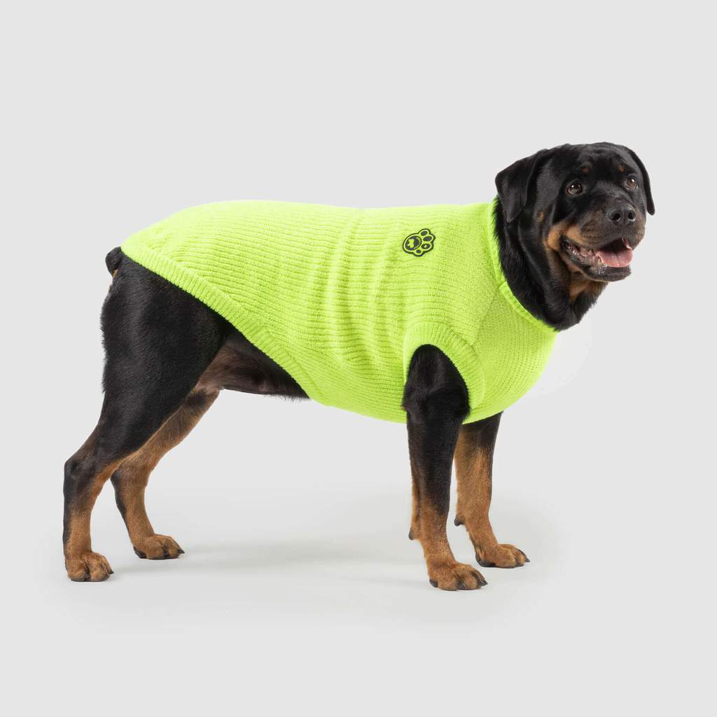 Highlighter Sweater in Green (FINAL SALE) Wear CANADA POOCH   