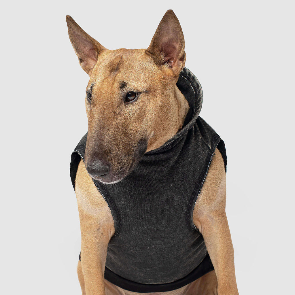 CANADA POOCH | No Authority Hoodie Apparel CANADA POOCH   