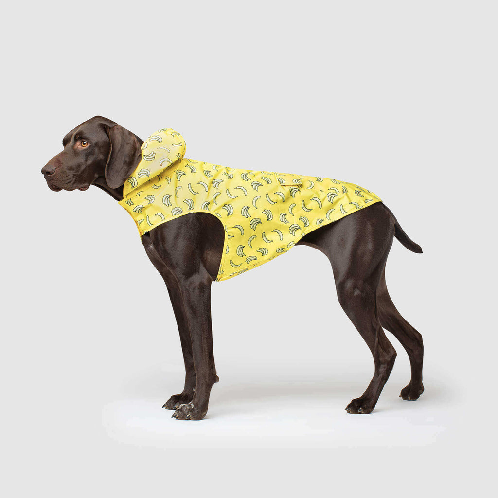 CANADA POOCH | Pick Me Poncho in Bananas Coats & Jackets CANADA POOCH   
