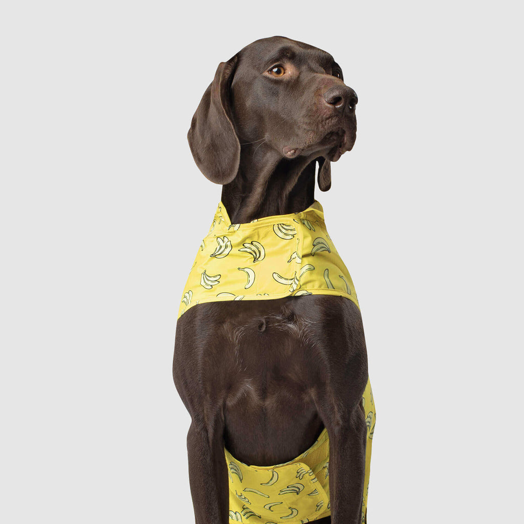 CANADA POOCH | Pick Me Poncho in Bananas Coats & Jackets CANADA POOCH   