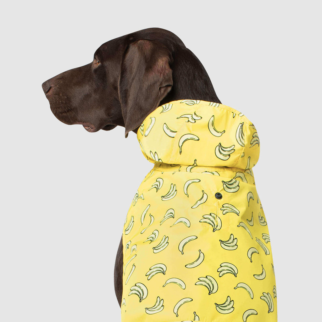 CANADA POOCH | Pick Me Poncho in Bananas Coats & Jackets CANADA POOCH   