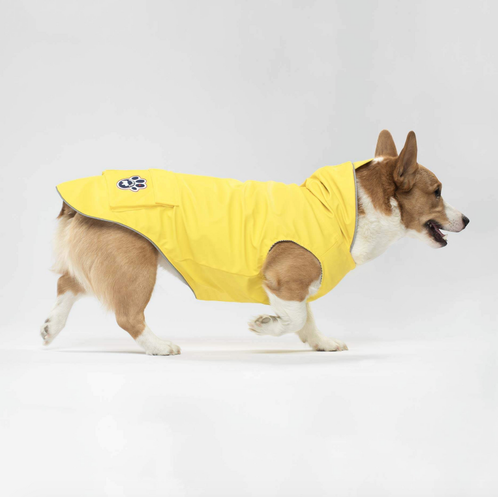 Torrential Tracker Dog Raincoat in Yellow (FINAL SALE) Wear CANADA POOCH   
