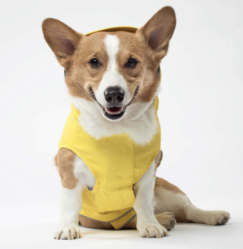 Torrential Tracker Dog Raincoat in Yellow (FINAL SALE) Wear CANADA POOCH   