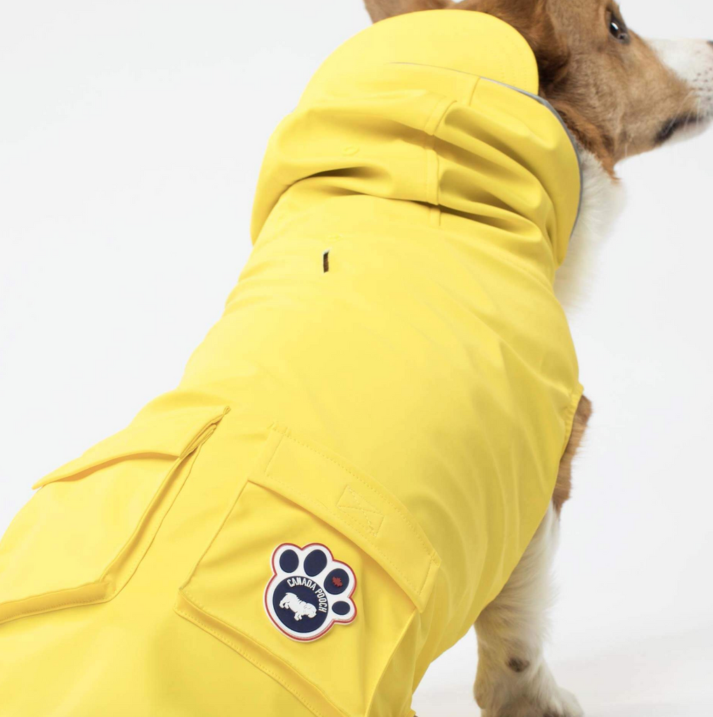 Torrential Tracker Dog Raincoat in Yellow (FINAL SALE) Wear CANADA POOCH   