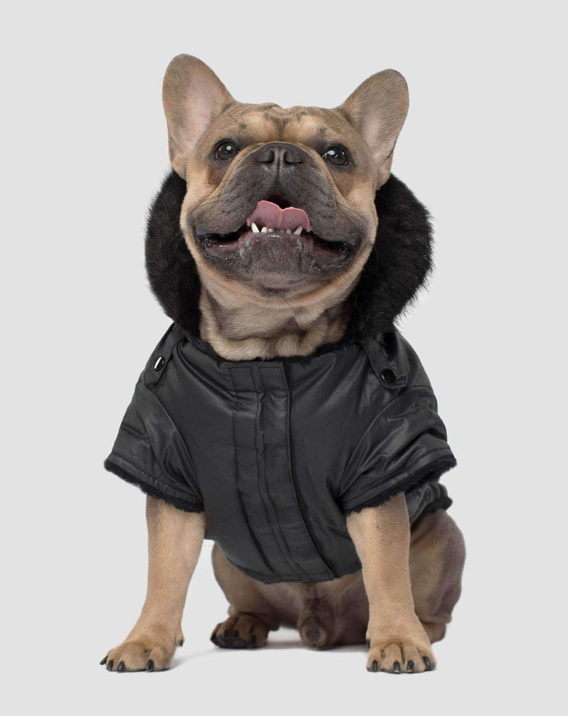 Urban Wax Dog Parka in Black Wear CANADA POOCH   