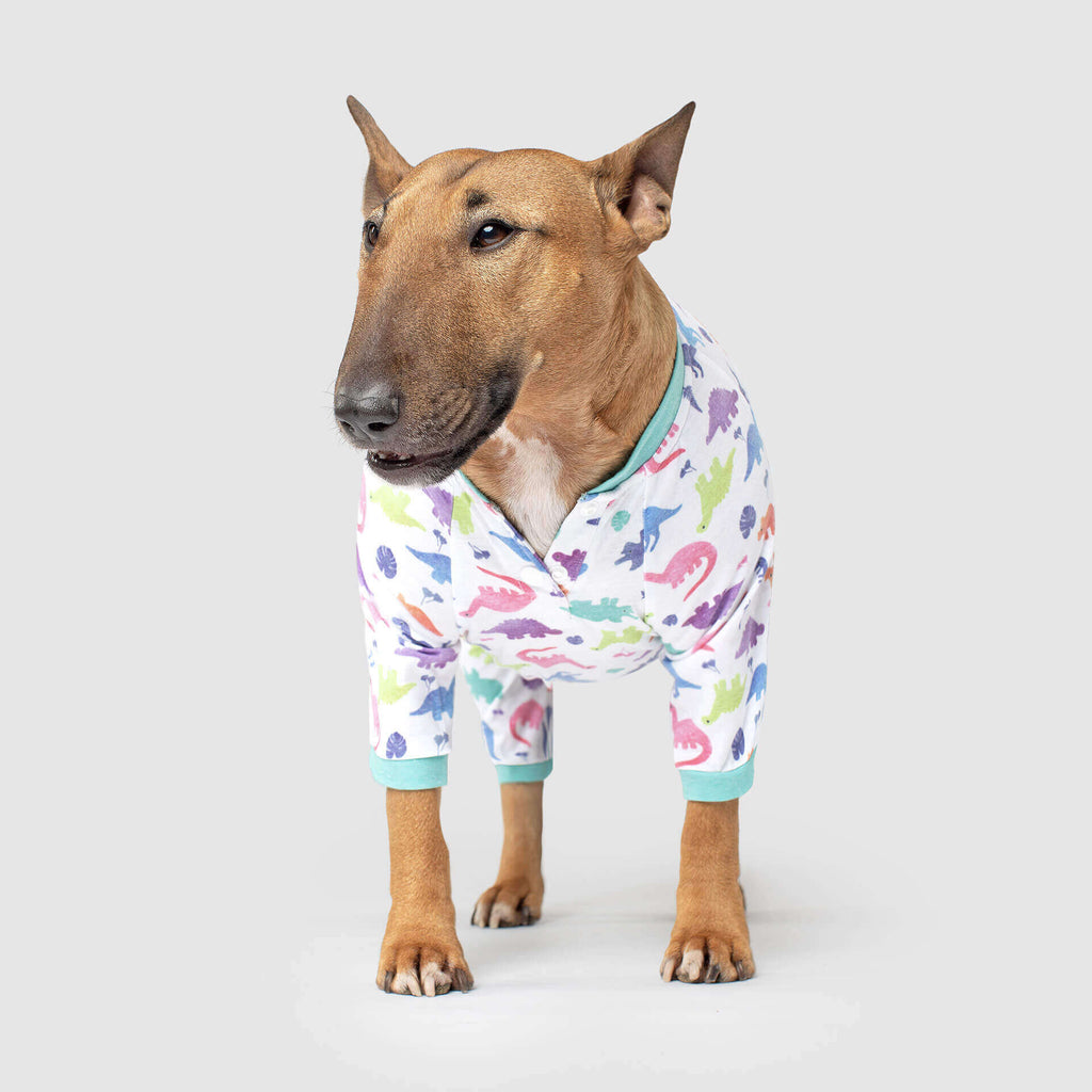 CANADA POOCH | Weekend Onesie in Dinosaur Apparel CANADA POOCH   