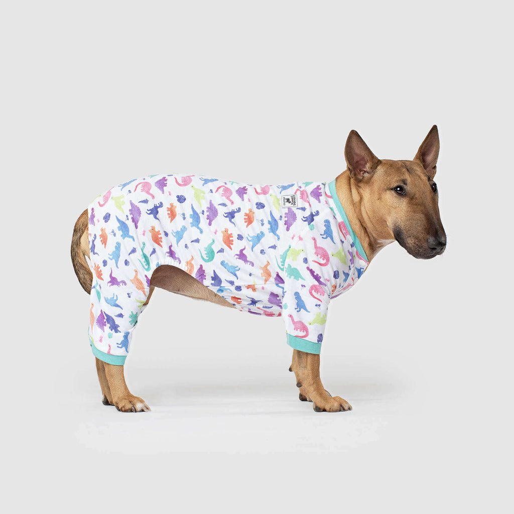 CANADA POOCH | Weekend Onesie in Dinosaur Apparel CANADA POOCH   