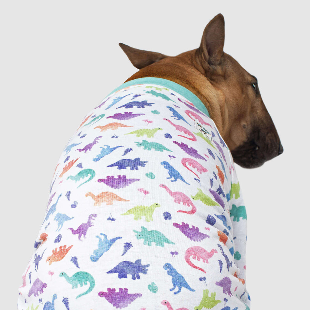 CANADA POOCH | Weekend Onesie in Dinosaur Apparel CANADA POOCH   