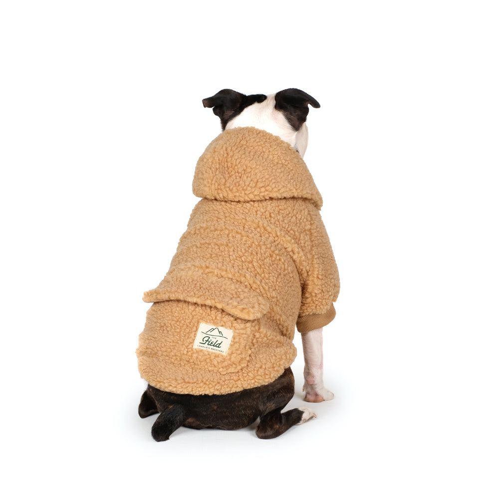 CHARLIE'S BACKYARD | Dickie Hoodie in Tan Apparel CHARLIE'S BACKYARD   