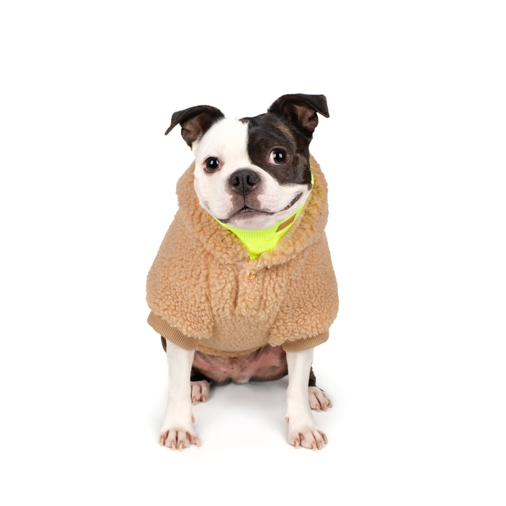 CHARLIE'S BACKYARD | Dickie Hoodie in Tan Apparel CHARLIE'S BACKYARD   