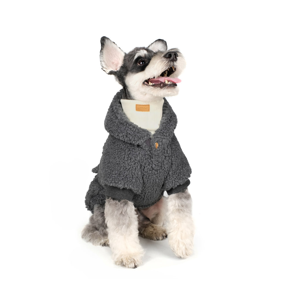 CHARLIE'S BACKYARD | Dickie Hoodie in Grey Apparel CHARLIE'S BACKYARD   