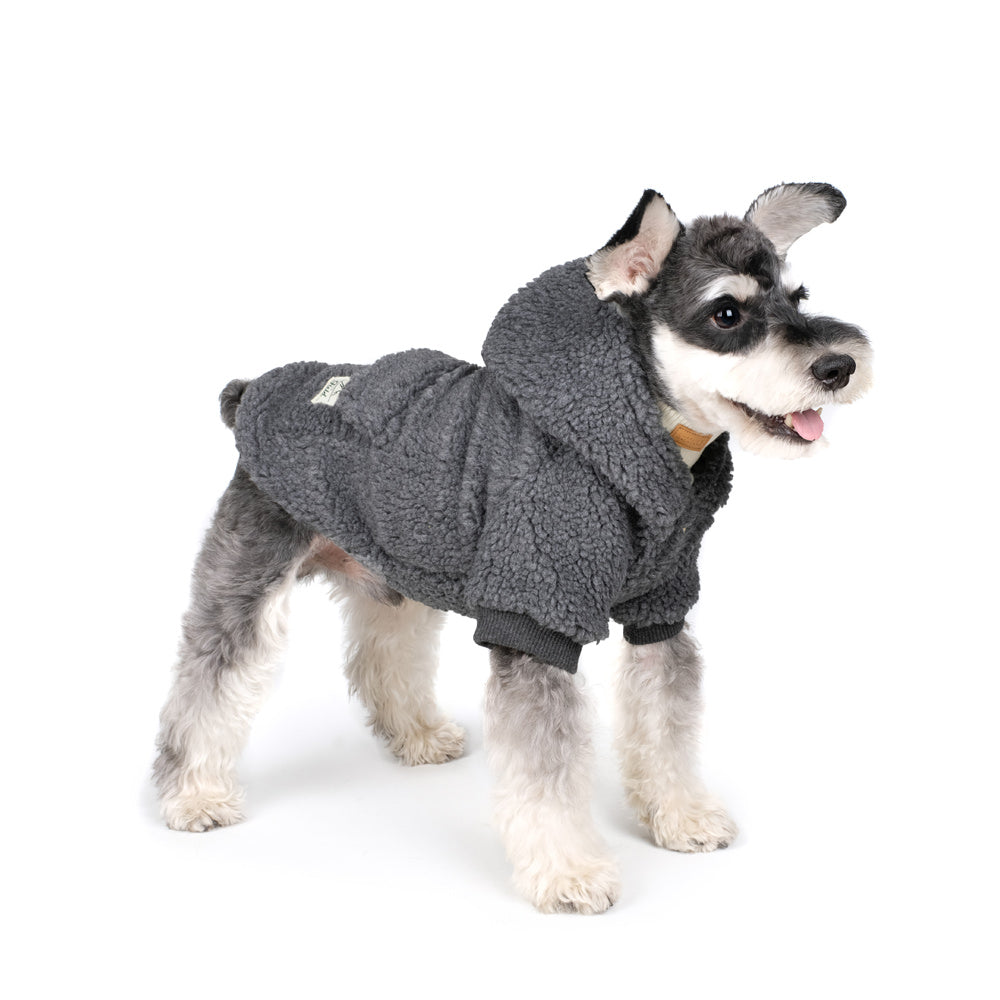 CHARLIE'S BACKYARD | Dickie Hoodie in Grey Apparel CHARLIE'S BACKYARD   