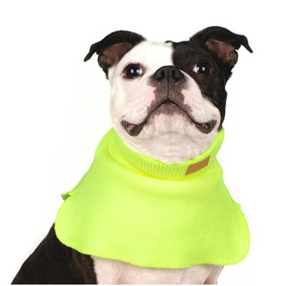 CHARLIE'S BACKYARD | Dickie Turtleneck Warmer in Neon Yellow Accessories CHARLIE'S BACKYARD   