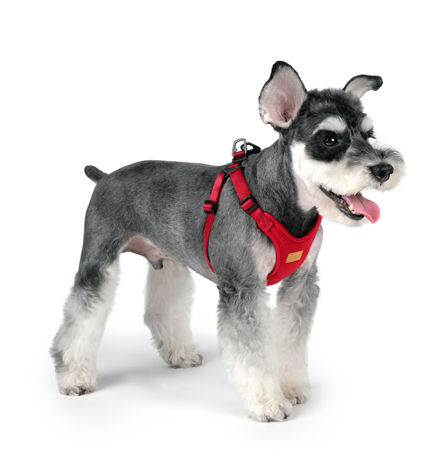 Comfort Dog Harness in Red WALK CHARLIE'S BACKYARD   