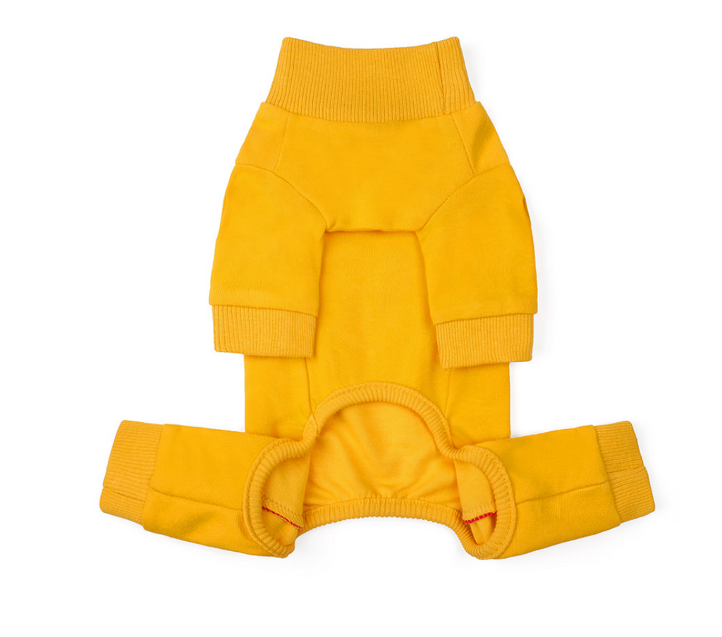 Bruce Warmer Dog Onesie in Yellow << FINAL SALE >> Wear CHARLIE'S BACKYARD   