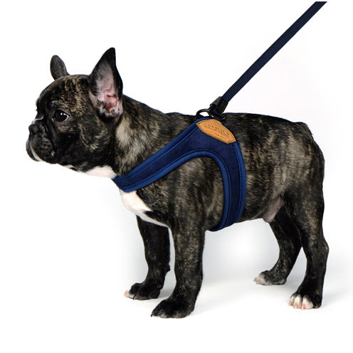 Adjustable Easy Dog Harness in Navy WALK CHARLIE'S BACKYARD   