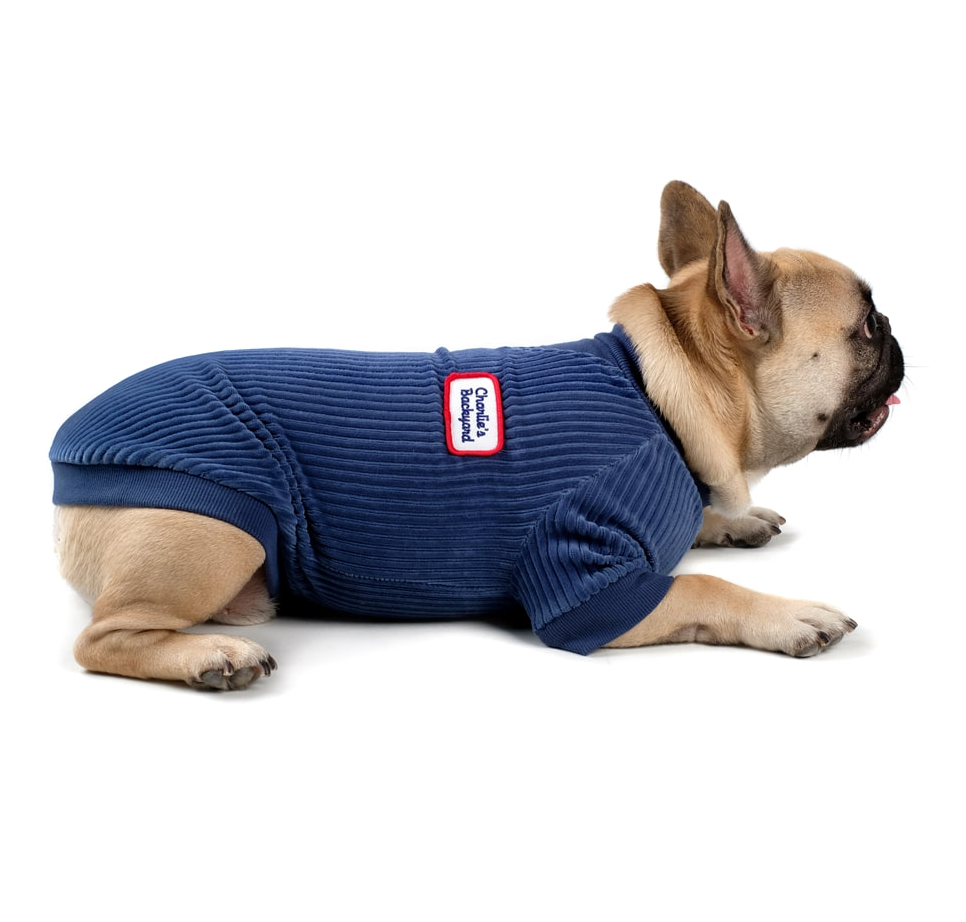 CHARLIE'S BACKYARD | Alley Pullover in Navy Apparel CHARLIE'S BACKYARD   