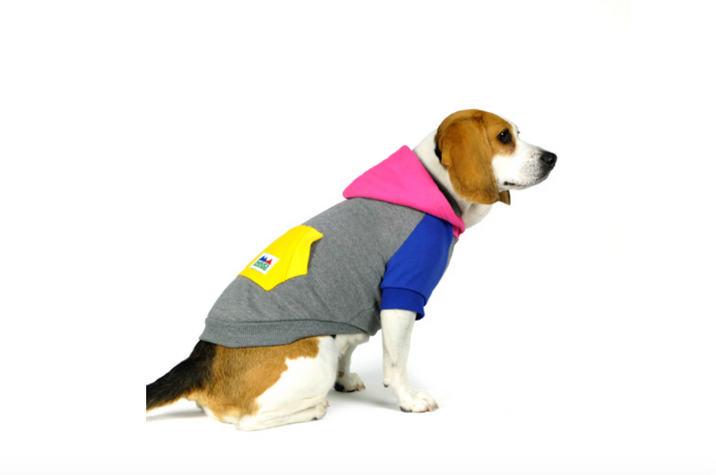 CHARLIE'S BACKYARD | Block Hoodie in Grey Apparel CHARLIE'S BACKYARD   