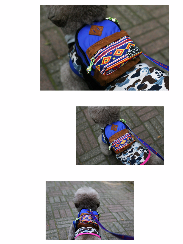 CHARLIE'S BACKYARD | Charlie's Bag Backpack in Royal Blue Walk CHARLIE'S BACKYARD   