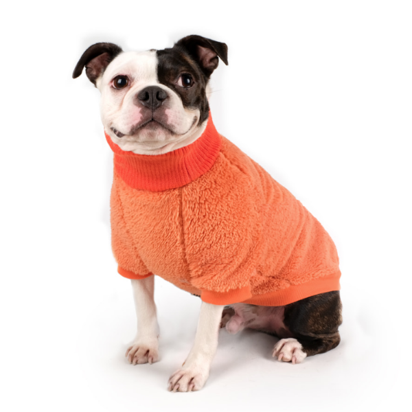 CHARLIE'S BACKYARD | Cozy Turtleneck in Orange Apparel CHARLIE'S BACKYARD   