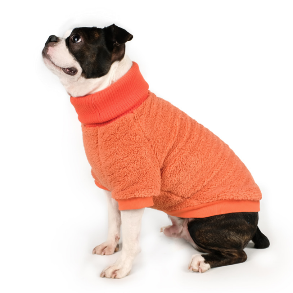 CHARLIE'S BACKYARD | Cozy Turtleneck in Orange Apparel CHARLIE'S BACKYARD   