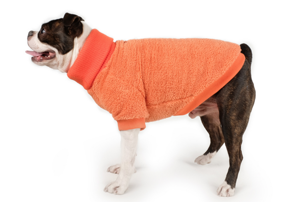 CHARLIE'S BACKYARD | Cozy Turtleneck in Orange Apparel CHARLIE'S BACKYARD   