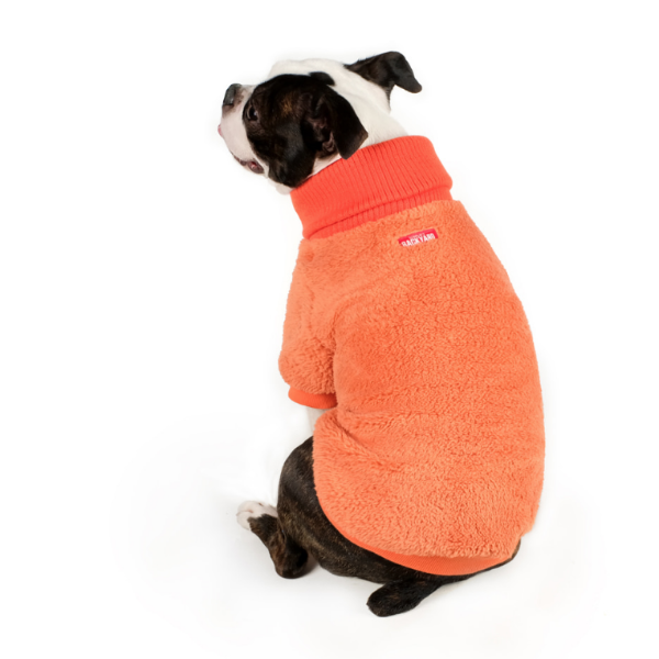CHARLIE'S BACKYARD | Cozy Turtleneck in Orange Apparel CHARLIE'S BACKYARD   