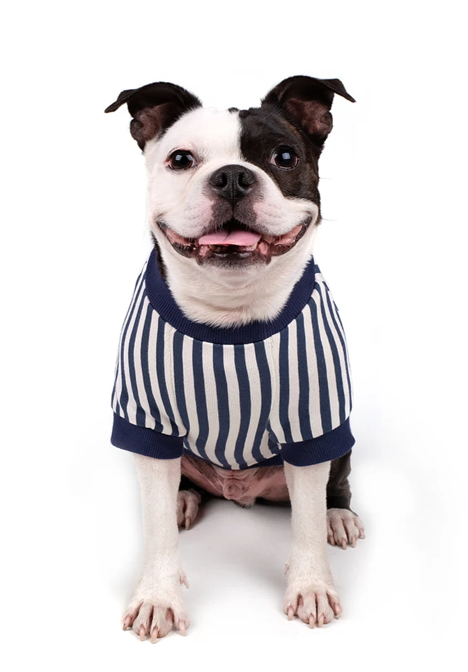 Donut Tee in Navy (FINAL SALE) Wear CHARLIE'S BACKYARD   