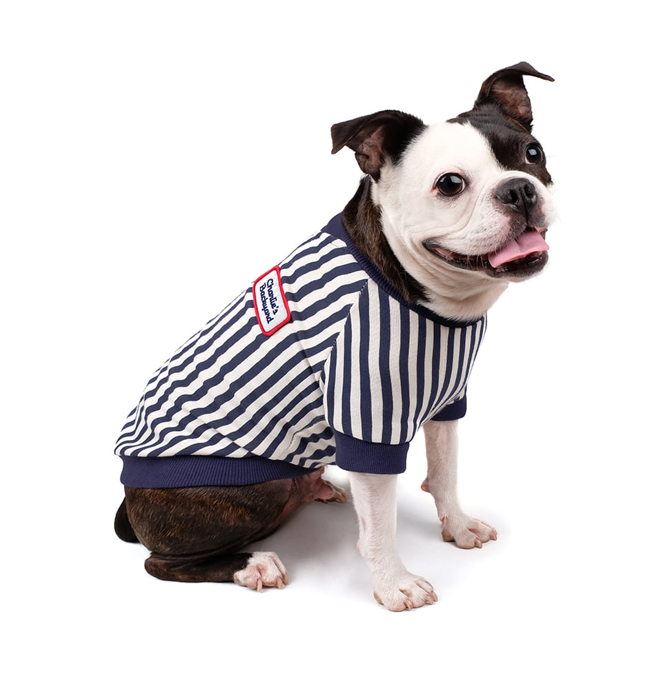 Donut Tee in Navy (FINAL SALE) Wear CHARLIE'S BACKYARD   