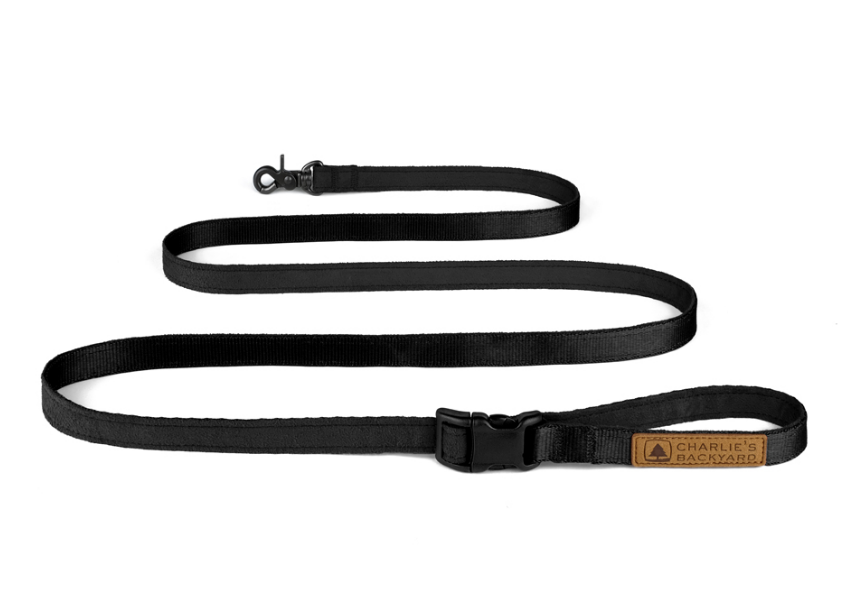 Adjustable Easy Dog Leash in Black WALK CHARLIE'S BACKYARD   