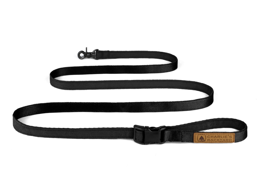 Backyard dog leash cheap